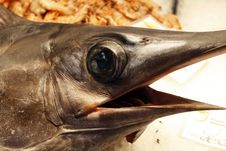 Fish Royalty Free Stock Image Fish Royalty Free Stock Image