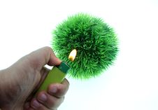 Green World Burning Royalty Free Stock Photo Green World Burning Royalty Free Stock Photo