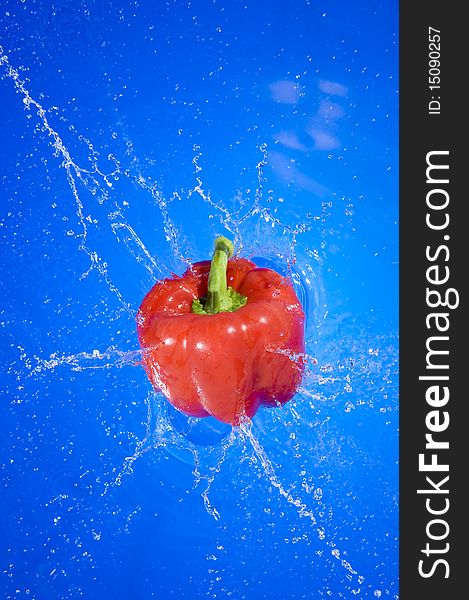Red pepper falling on the fresh blue water