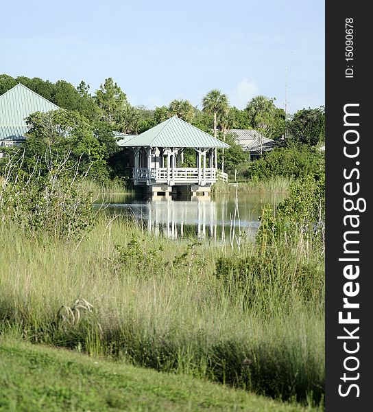 This was taken on July 7th at 3pm at the Florida Everglades. This was taken on July 7th at 3pm at the Florida Everglades.