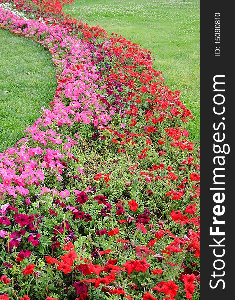 Curving flower bed and green meadow. Curving flower bed and green meadow.