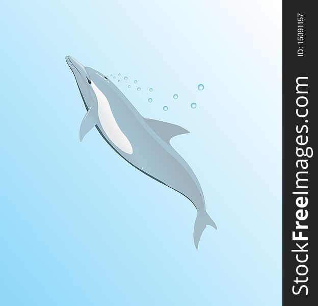 The dolphin floats in the top sheet of water. A  illustration