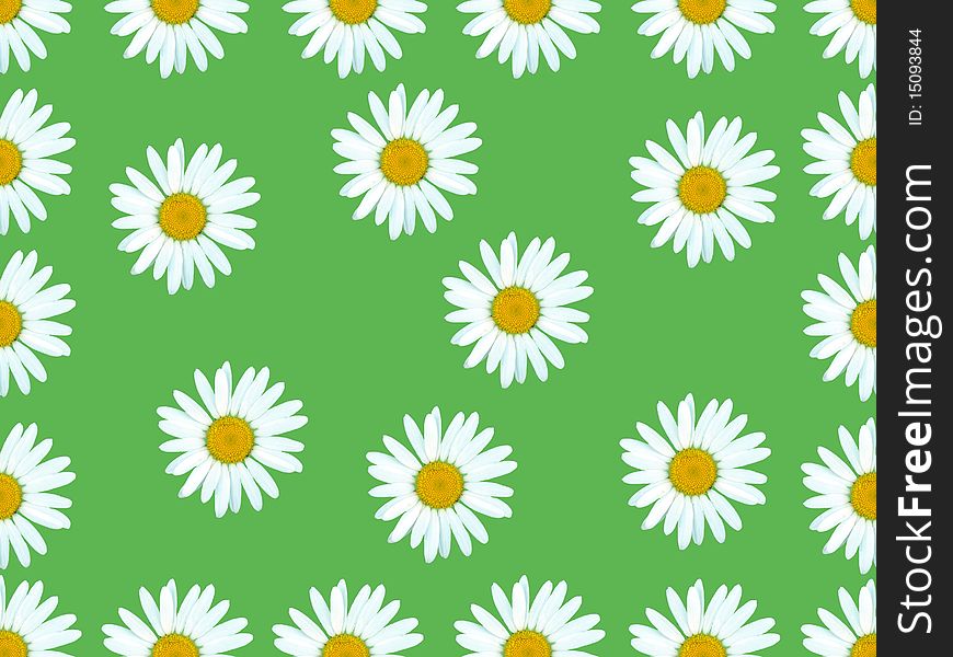 Flowers on green background.