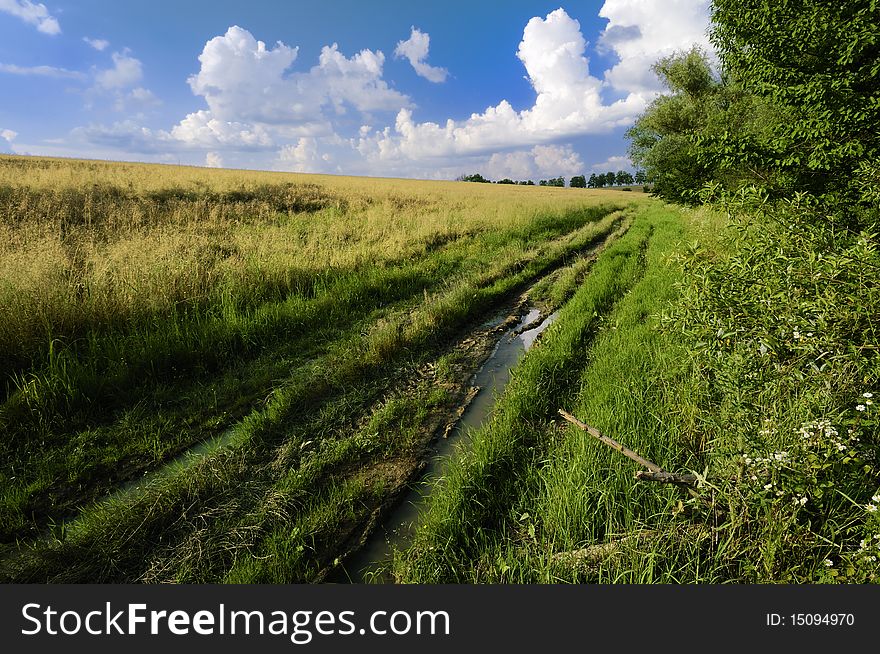 Path that runs along the grain. Path that runs along the grain