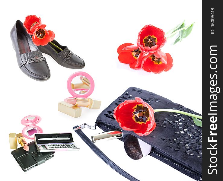 Women S Accessories And Tulips