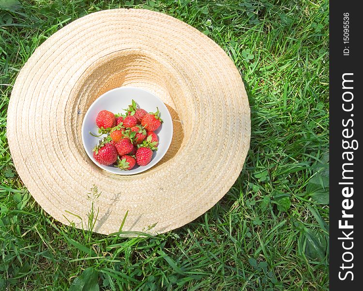 Summer Still Life with Strawberries on the grass. Summer Still Life with Strawberries on the grass