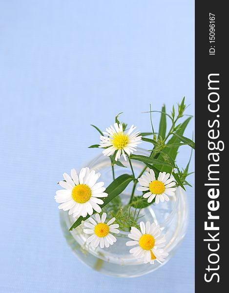 A glass bowl with a summer bouquet on a blue background.