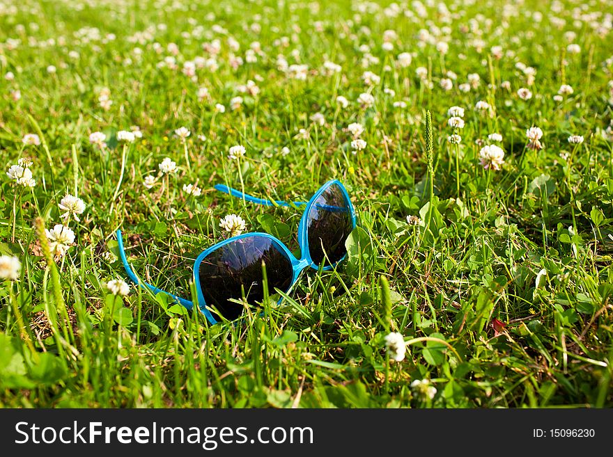 Blue Sun Glasses in summer grass. Blue Sun Glasses in summer grass