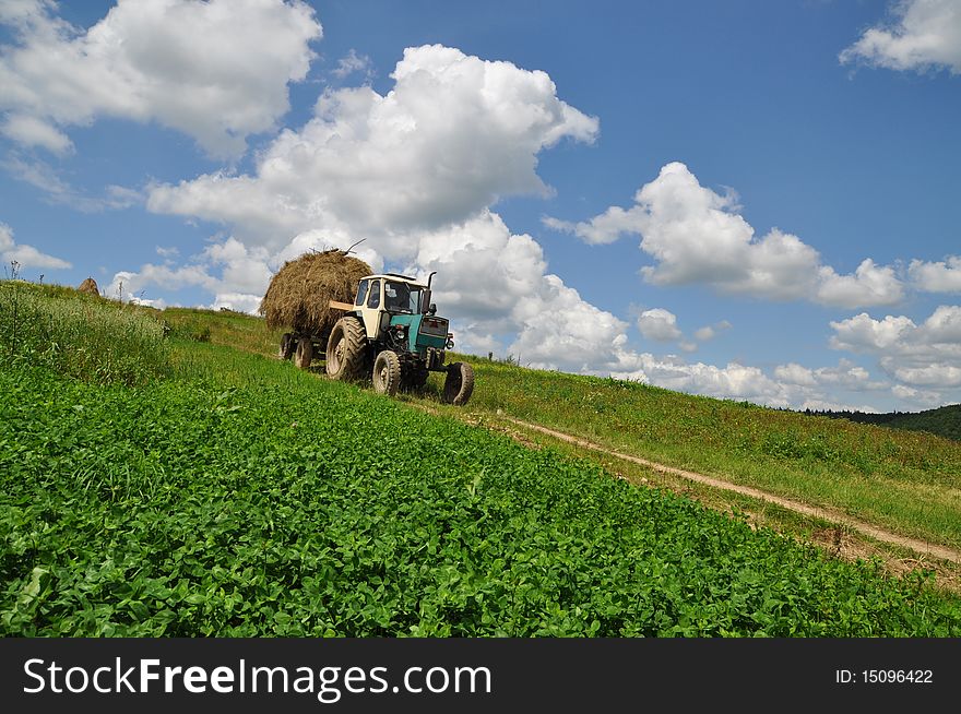 Tractor with the trailer the loaded hay in a summer rural landscape with a young clover and white clouds. Tractor with the trailer the loaded hay in a summer rural landscape with a young clover and white clouds