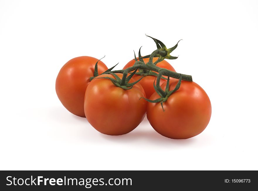 4 fresh tomato isolated on white. 4 fresh tomato isolated on white