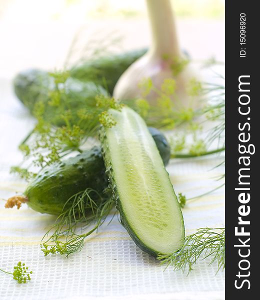 Whole and half cucumber on light towel with garlic and fennel on background. Whole and half cucumber on light towel with garlic and fennel on background
