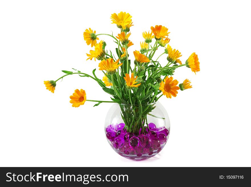 Marigold Flowers In A Vase