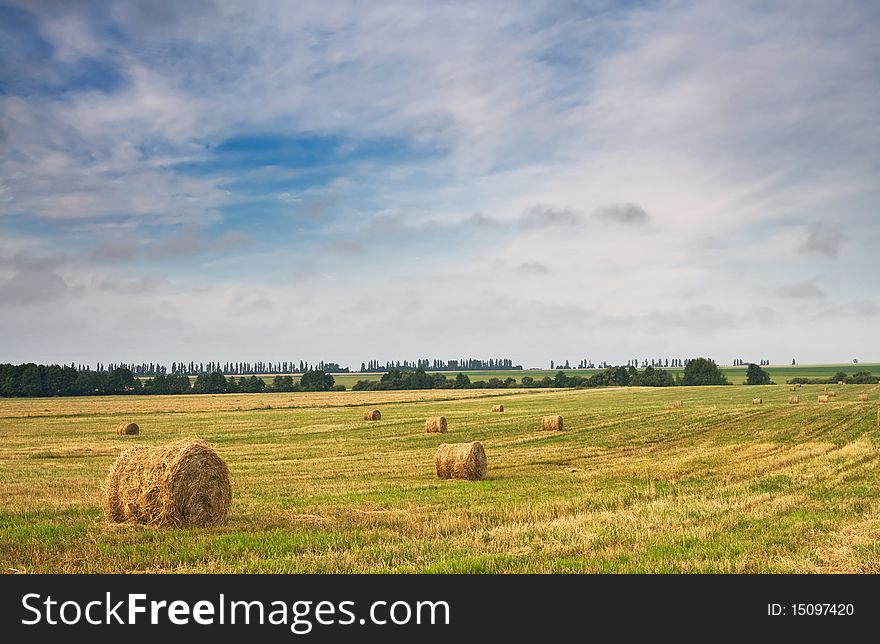 Beautiful stubble field with hay bales by summer.