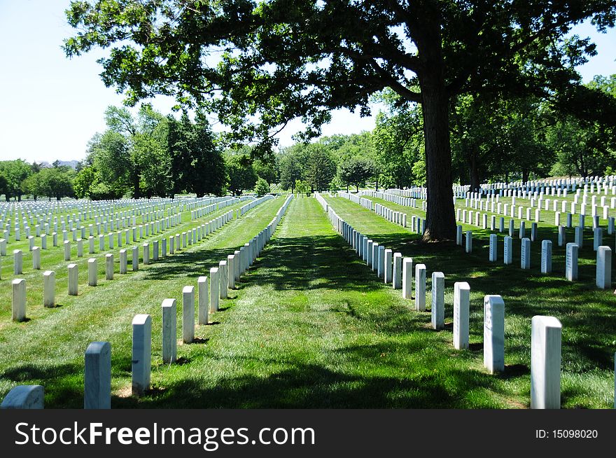 View of tombstone rows at Arlington National Cemetery