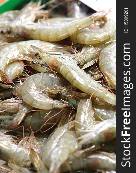 Fresh shrimps at the market