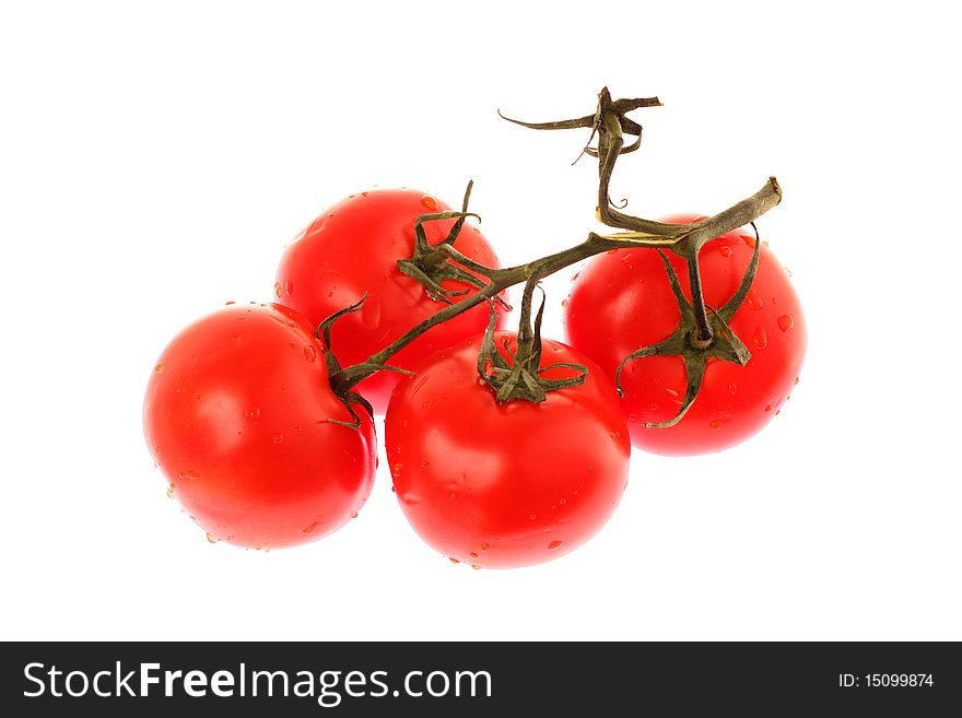 Four taste tomato on white