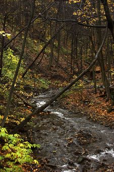 Bridge And Stream In Autumn Stock Photography Bridge And Stream In Autumn Stock Photography