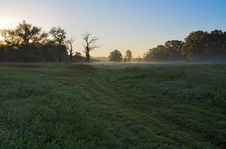 Dawn In The Meadow Stock Photos Dawn In The Meadow Stock Photos