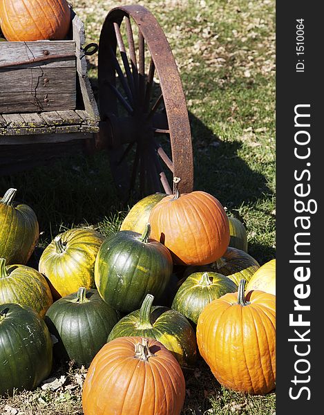 A selection of orange, green and yellow pumpkins by an old wagon. A selection of orange, green and yellow pumpkins by an old wagon