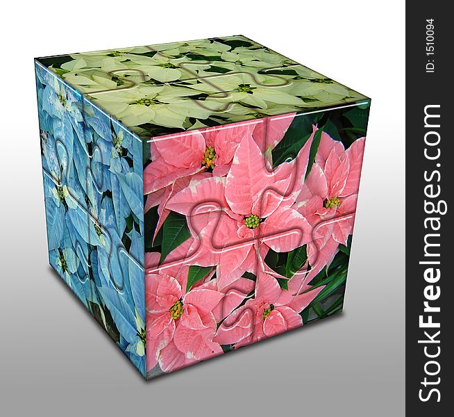 Cube with poinsettia