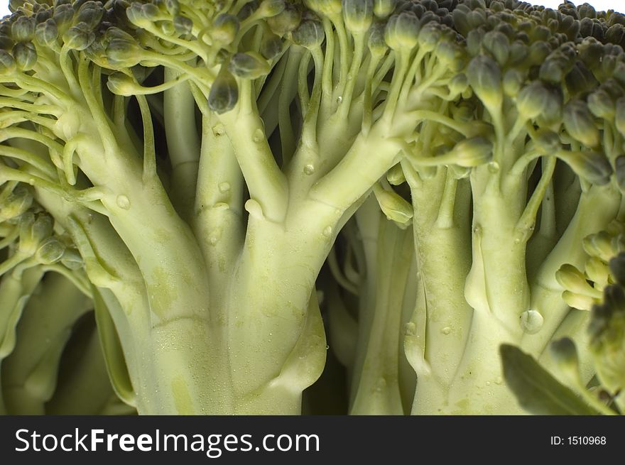 Green fresh broccoli close up