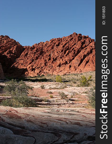 Red rock formations in the park