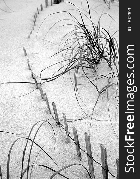 Sand dunes at the beach with grasses and fence. Sand dunes at the beach with grasses and fence.