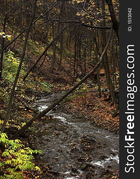 Bridge And Stream In Autumn