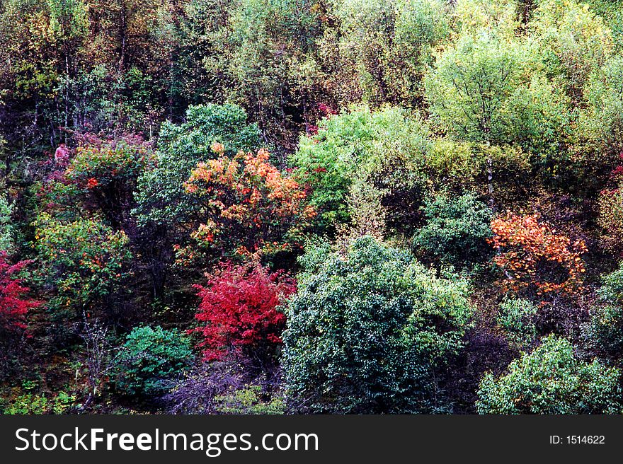 Beatuiful autumn scenery at Shangrila, Yunnan of China. Beatuiful autumn scenery at Shangrila, Yunnan of China.