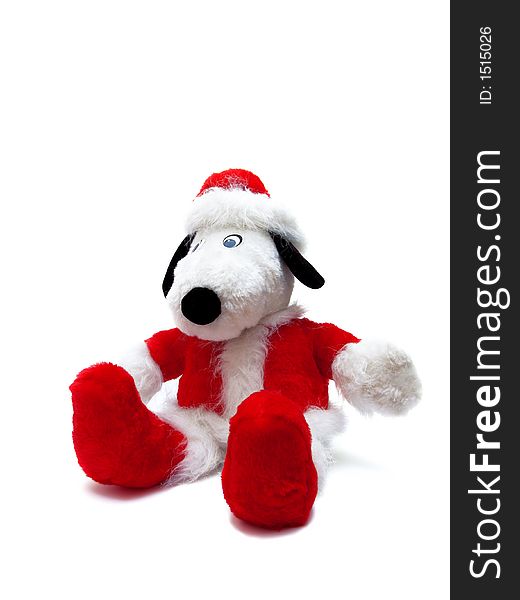 Christmas puppy in red clother isolated over white