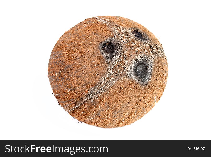 Photo of a fresh Coconut