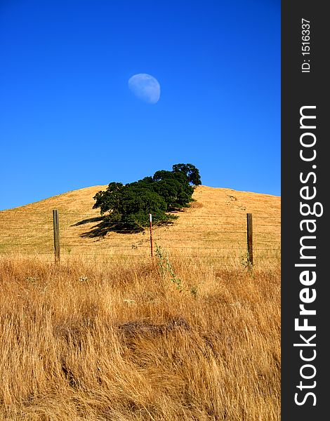 Moon over a hill and grass field. Moon over a hill and grass field