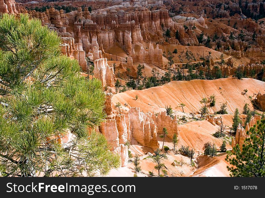 The grandeur of Bryce Canyon