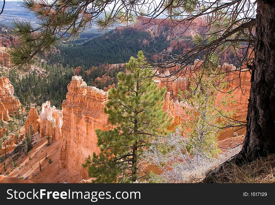 Looking down into Bryce Canyon