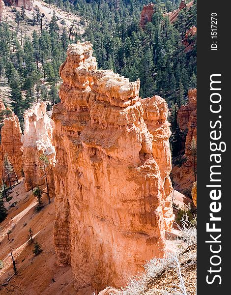 Bryce Canyon Tower