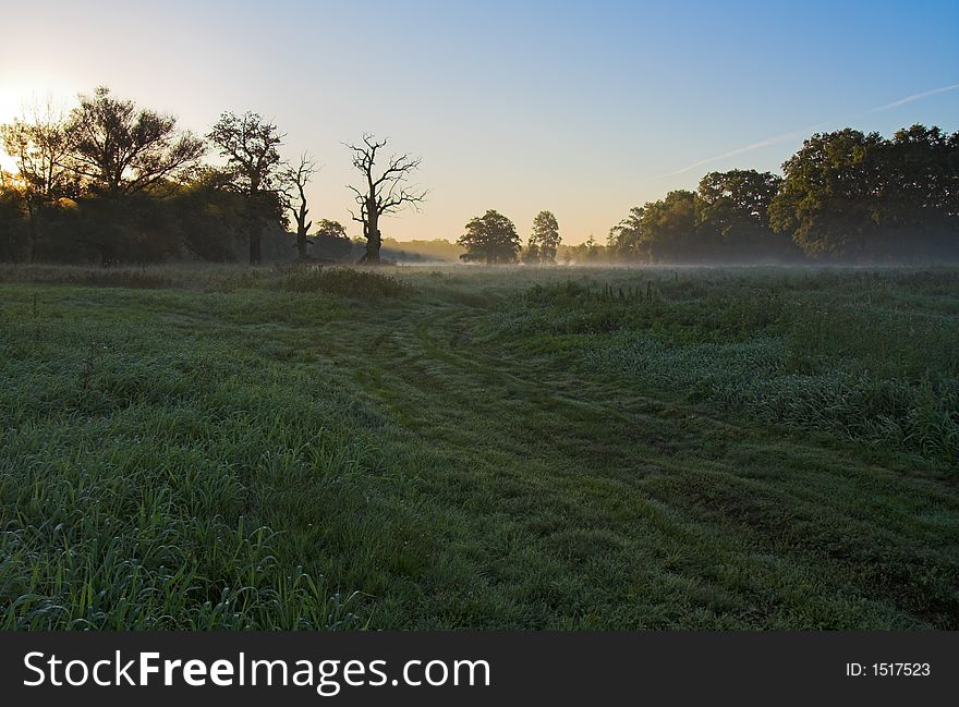 Dawn in the meadow with fog, dew, fresh grass while after sunrise