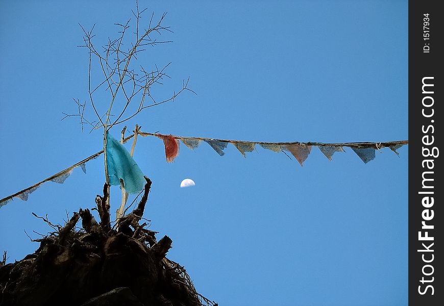 Tibetan prayer flags, ladakh, India.