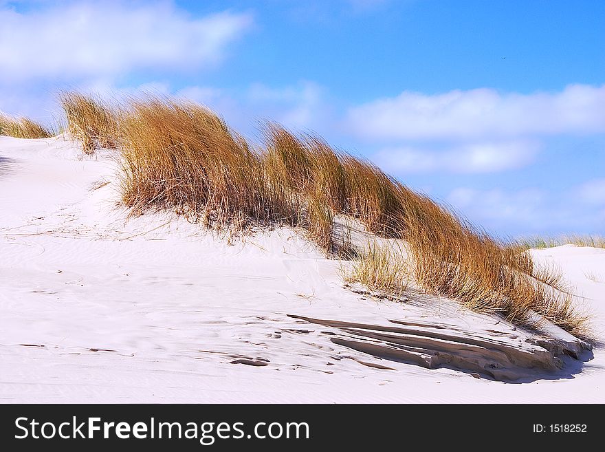 Dunes against a blue sky with white clouds. Dunes against a blue sky with white clouds