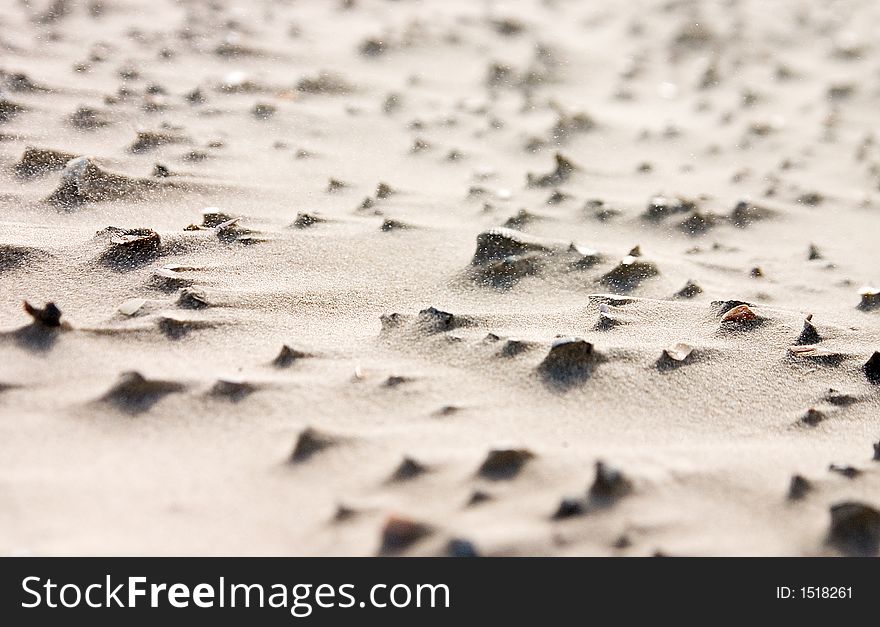 The wind has blown away the sand around small objects, leaving a spiky beach