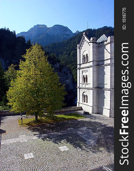 Tree in castle courtyard.