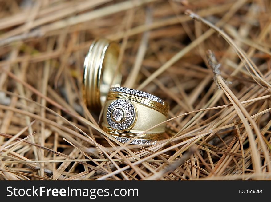 Two gold wedding bands on pine twigs