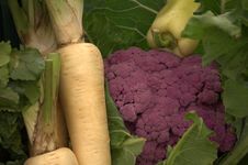 Purple Cauliflower Stock Images Purple Cauliflower Stock Images