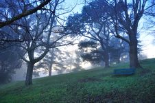 Early Misty Morning - Lonely Bench In A Park Royalty Free Stock Photos Early Misty Morning - Lonely Bench In A Park Royalty Free Stock Photos