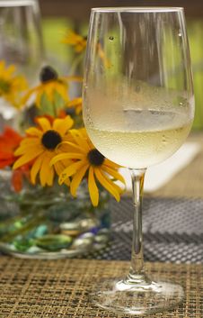 Glass Of Chilled White Wine Stock Photos Glass Of Chilled White Wine Stock Photos
