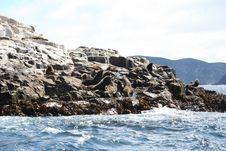 Bruny Island, Tasmania Stock Photography Bruny Island, Tasmania Stock Photography