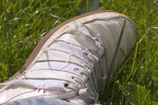 White Sneaker On Grass Royalty Free Stock Images