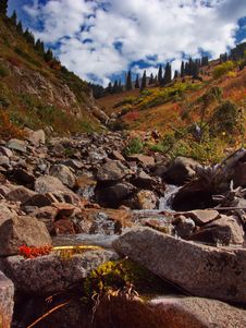 Mountain Stream Stock Photos