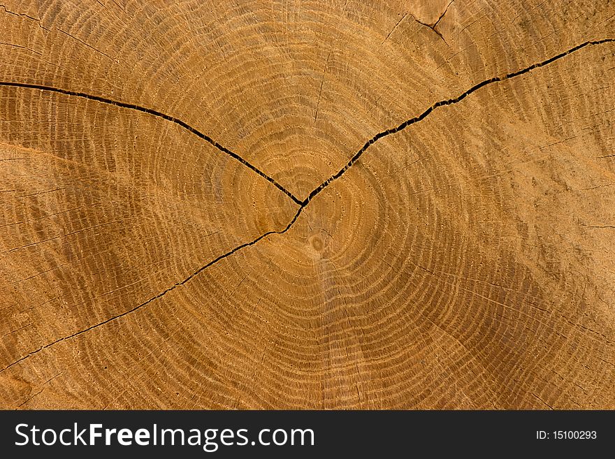 Wooden block detail as background. Wooden block detail as background