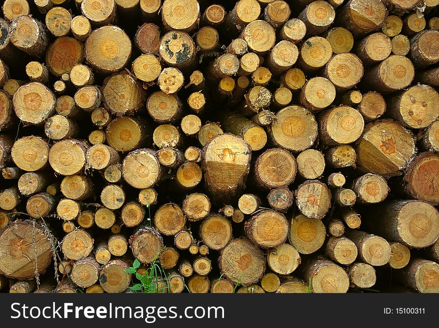 Firewood stack detail view as background. Firewood stack detail view as background