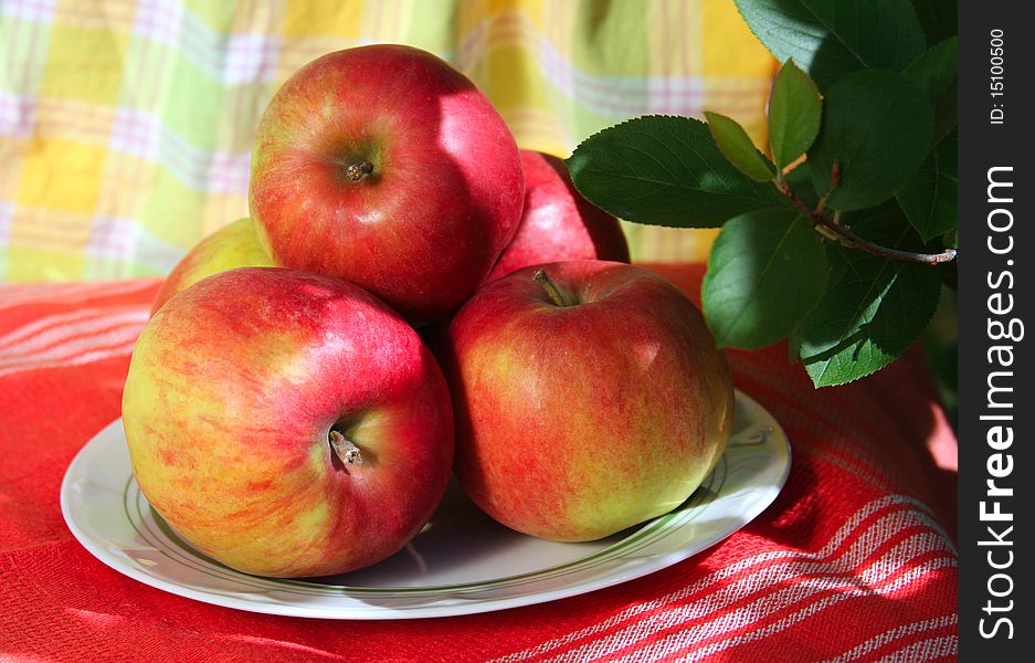 The plate with apples costs on a red cloth in a garden, in a lacy shade of trees. The plate with apples costs on a red cloth in a garden, in a lacy shade of trees